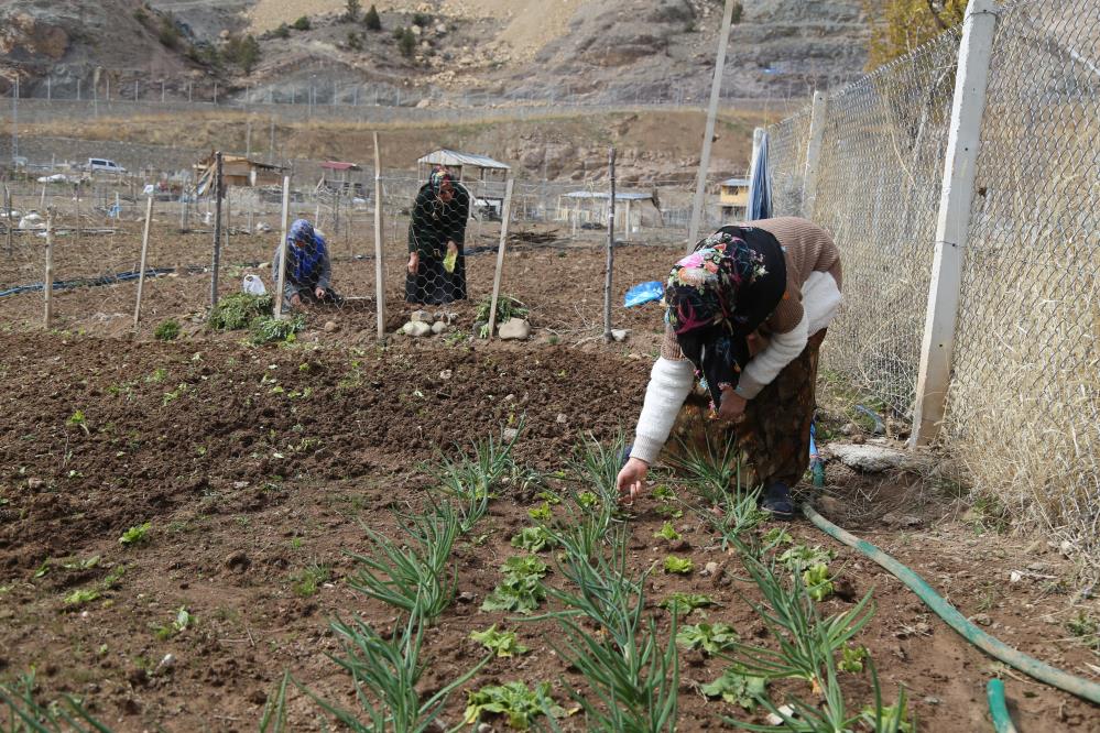 Yusufeli Tarım
