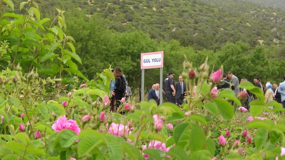 Gül Yolu