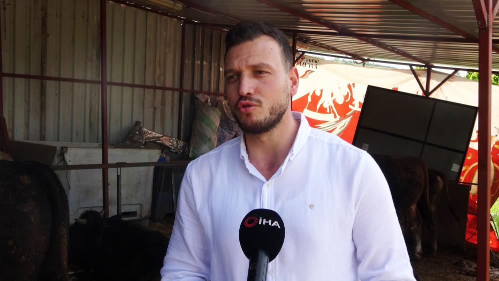 Hamza Topçu