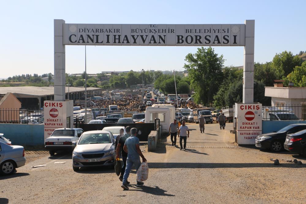 Canıl Haycan Borsası