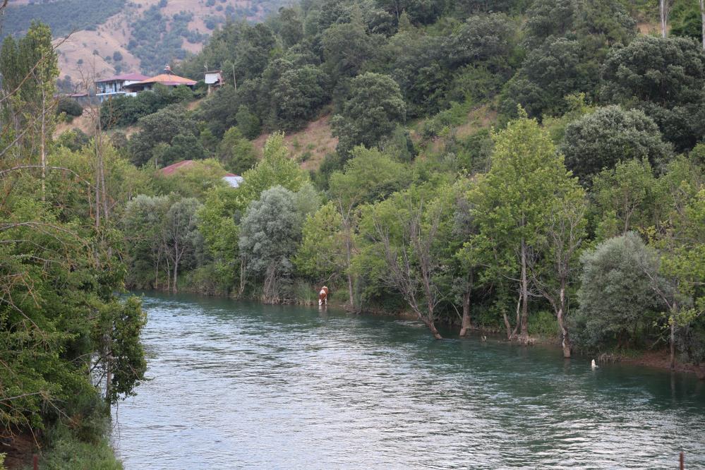 Saimbeyli