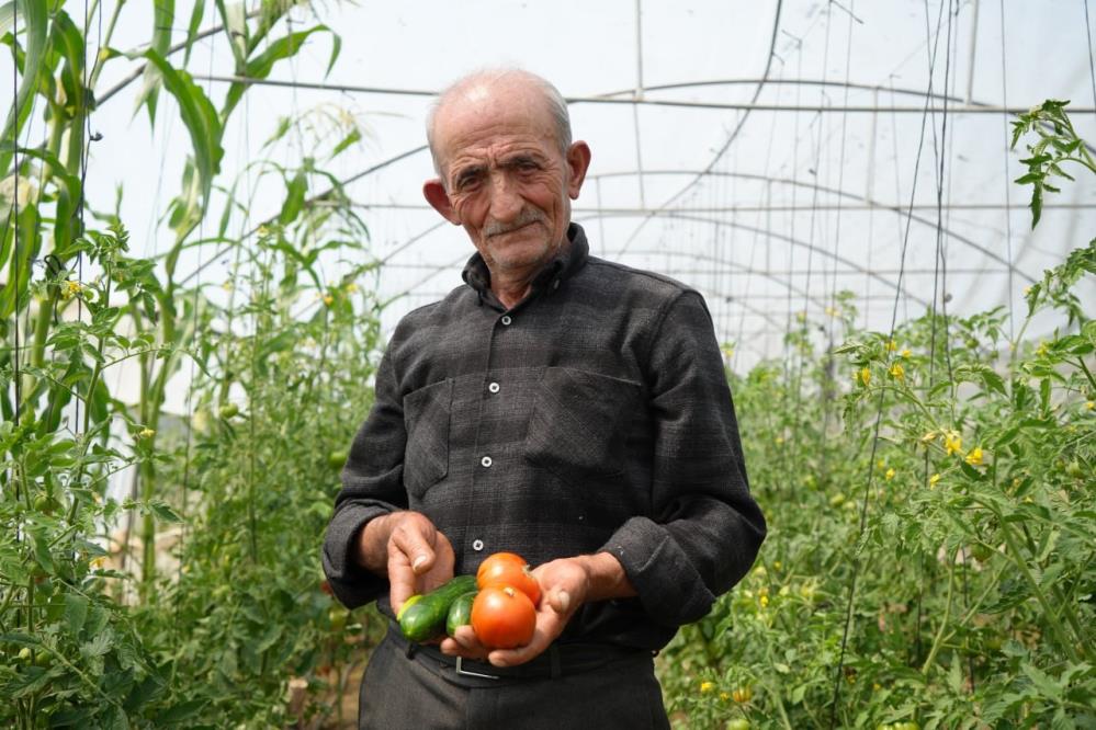 Salatalık Domates