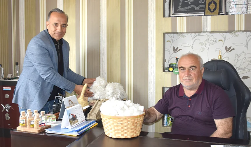Pamuk Üreticileri