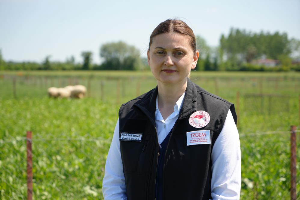 Betül Bayraklı