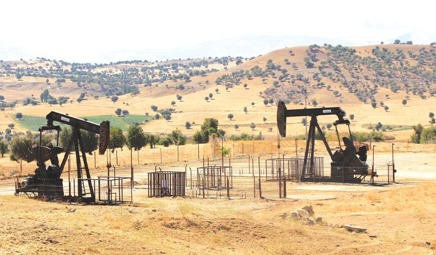 Şelmo Petrol Arama