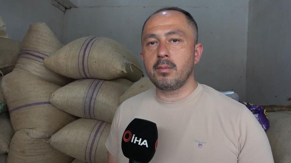 Mustafa Kankaya