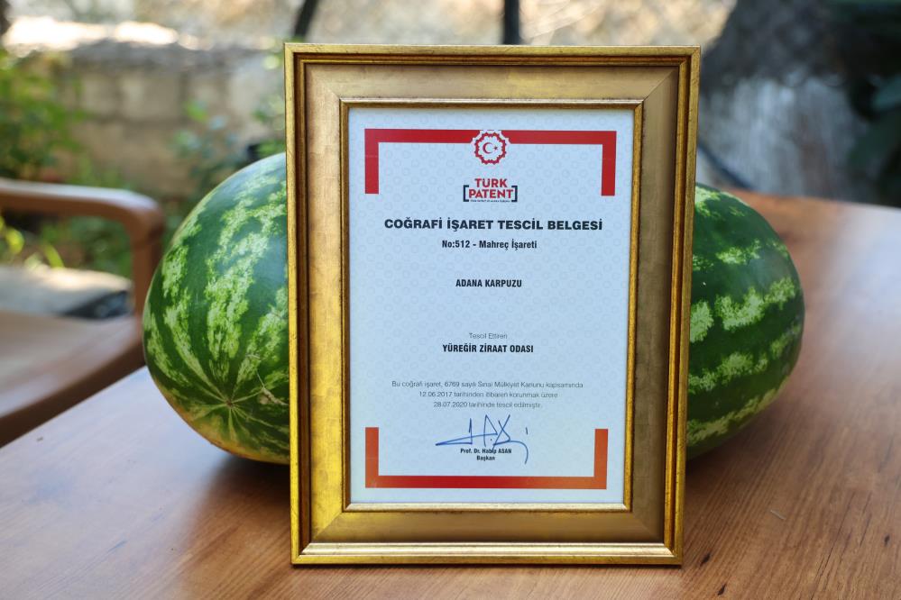 Adana Karpuzu