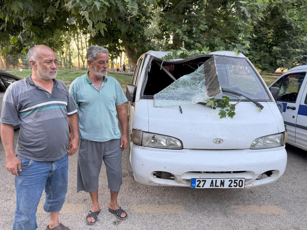 Ağaç Düştü