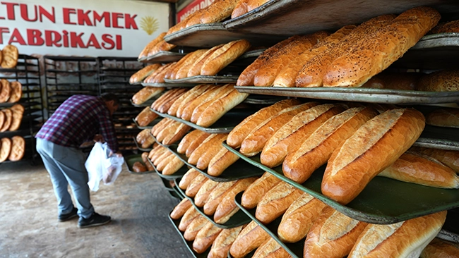 Ekmek Fabrikası-1