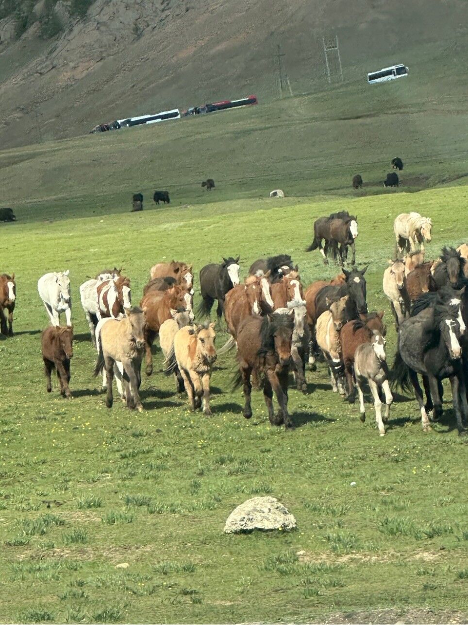 Atlar-1