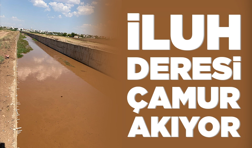 Iluh Deresi-8