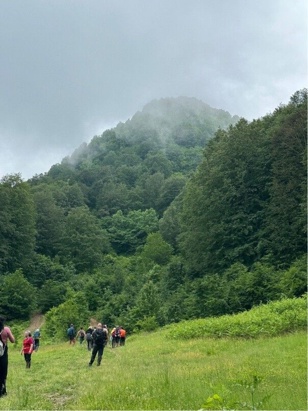 Nebiyan Yaylası Tarbzon