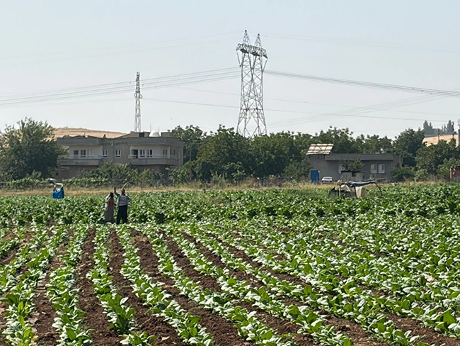 Tarım Işçileri (4)