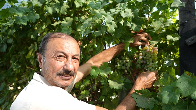 Hamit Kanağı-6
