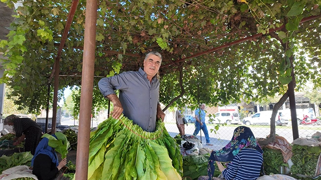 İhsan Arıboğa