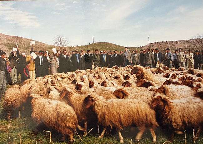 Isa Parlak-28