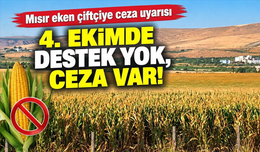 4. EKİMDE DESTEK YOK, CEZA VAR