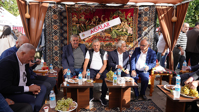Gercüş Bağ Bozumuu
