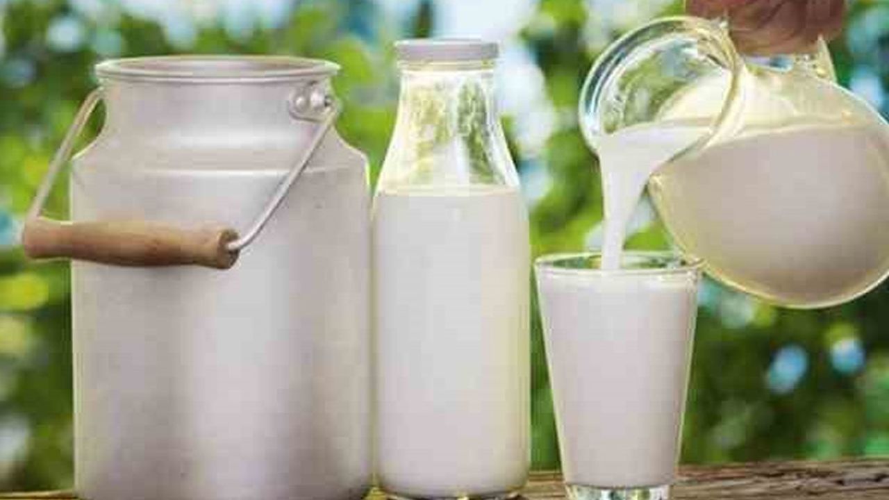 Ticari süt işletmelerince 819 bin 386 ton inek sütü toplandı