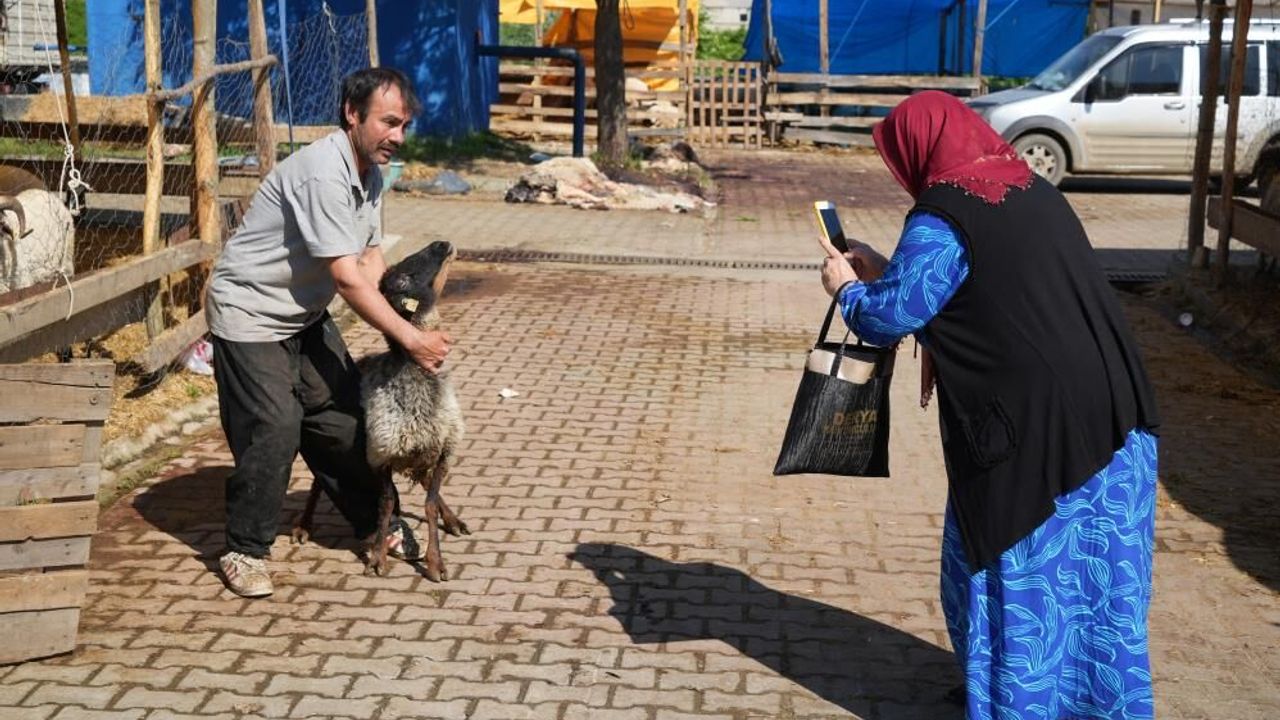 Besicilerin kurbanda da mesaisi sürüyor