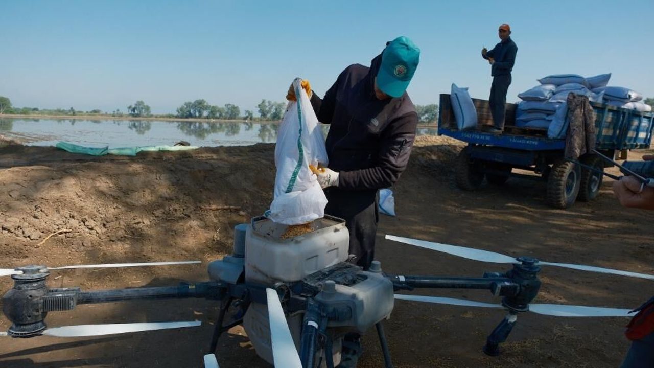 Dron ile çeltik ekimi