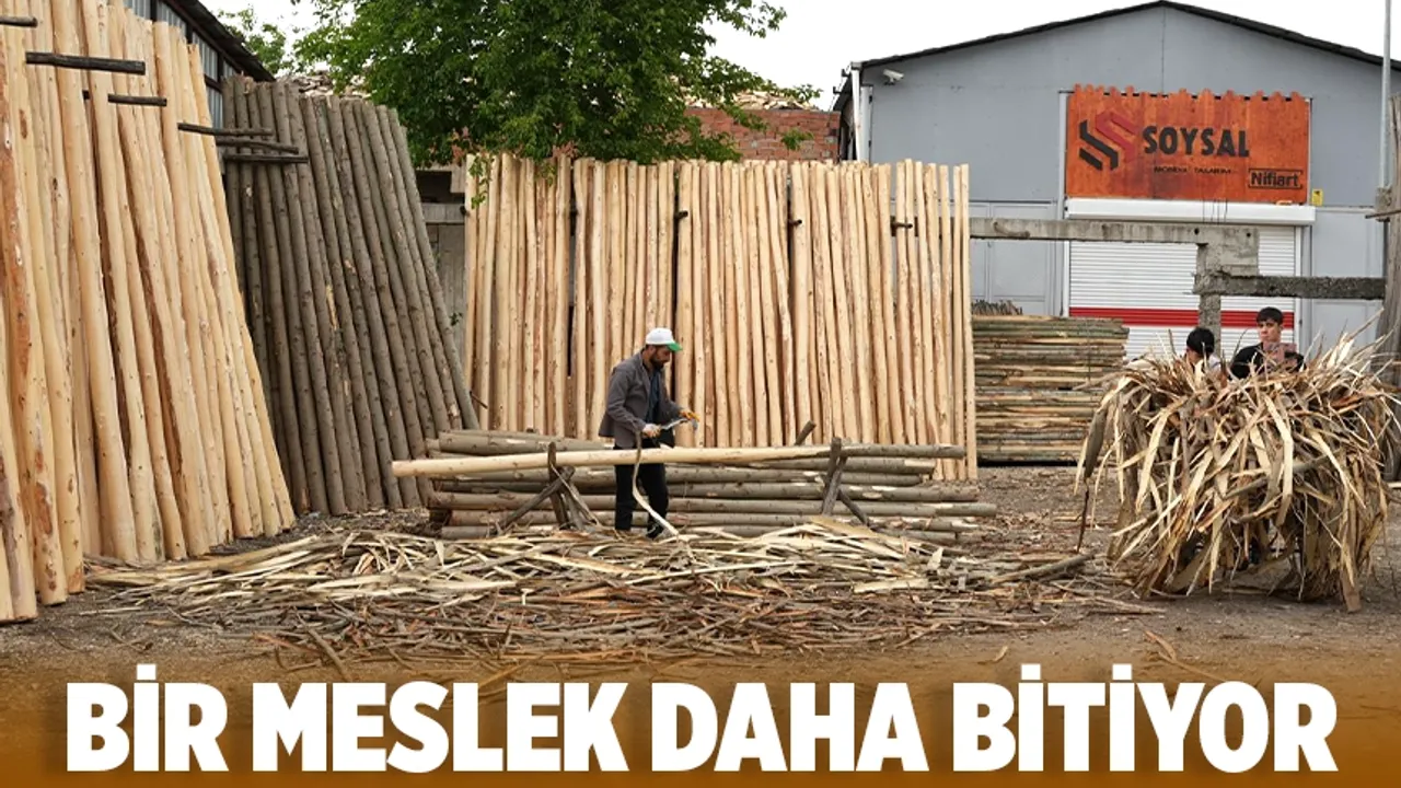 Yapılarda kavak ağacı dönemi sona erdi