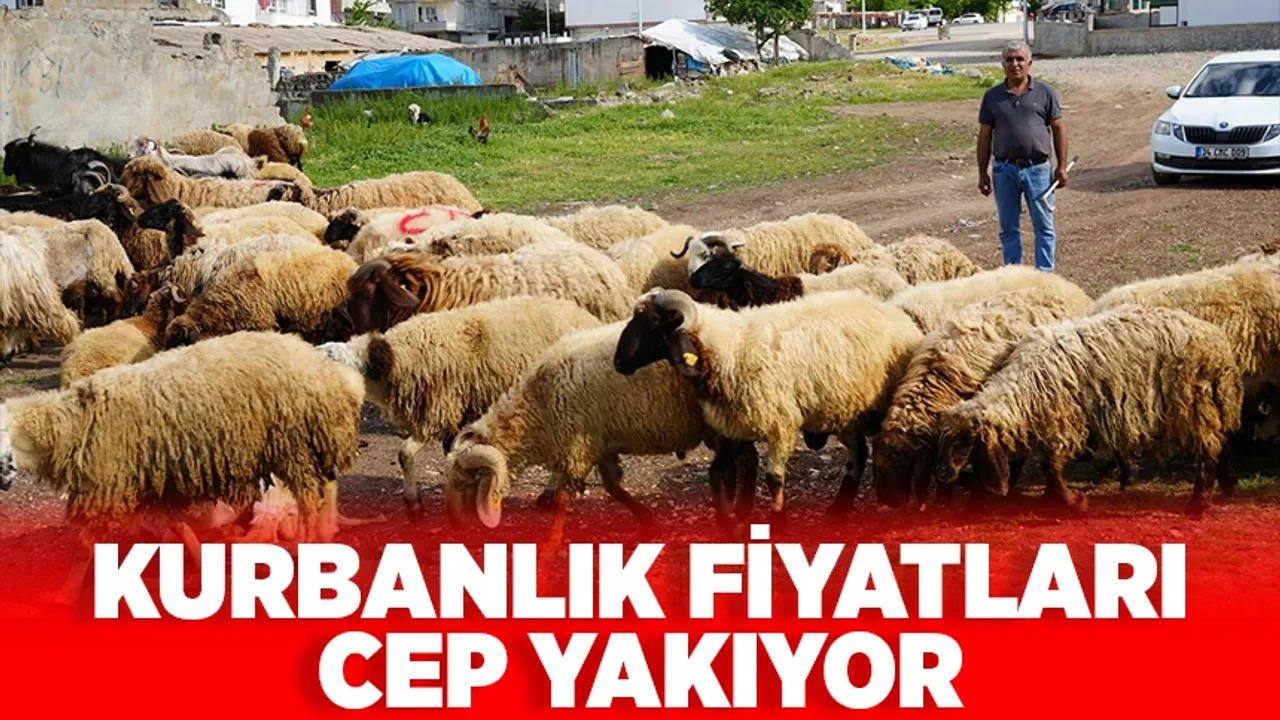 Bayram öncesinde rakamlar dudak uçuklatıyor