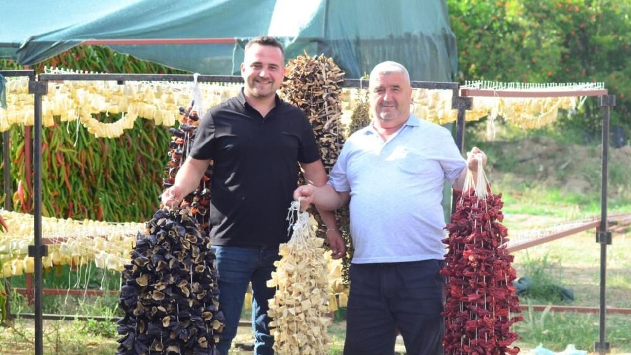 Kurutmalık sebze oymacılığı 