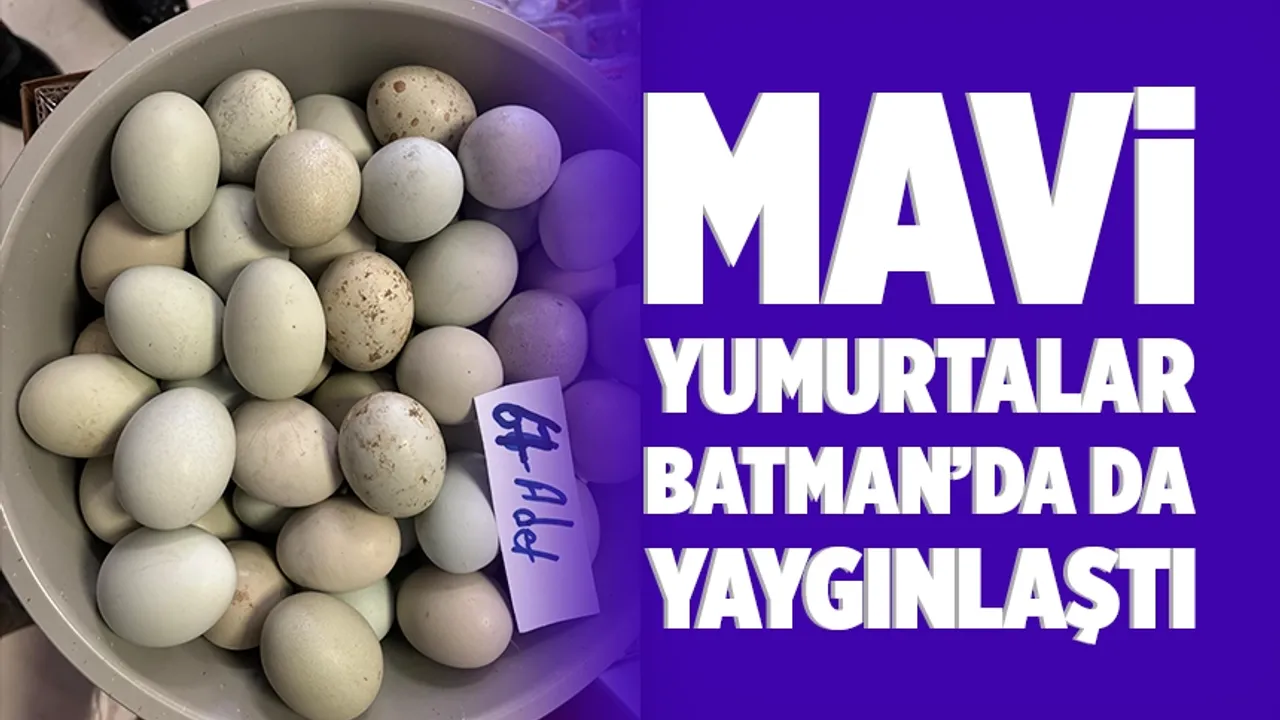 Batmanlılar mavi yumurtayı sevdi