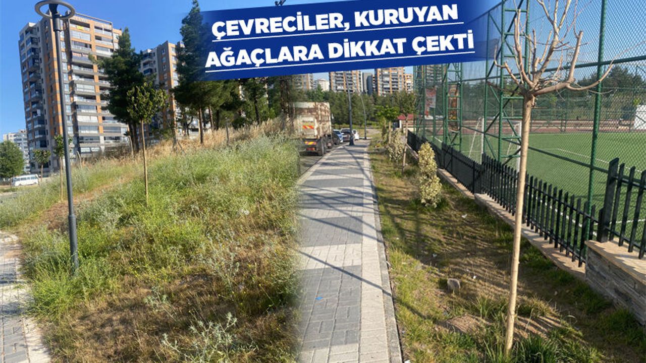 YAŞAR KEMAL KENT ORMANINA DİKKAT!
