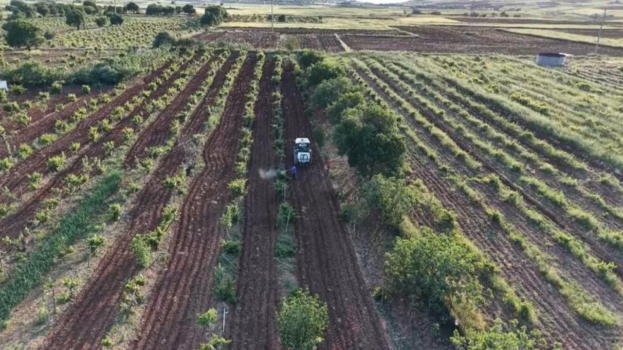 Şafak vaktiyle çiftçiler tarlalara akın ediyor