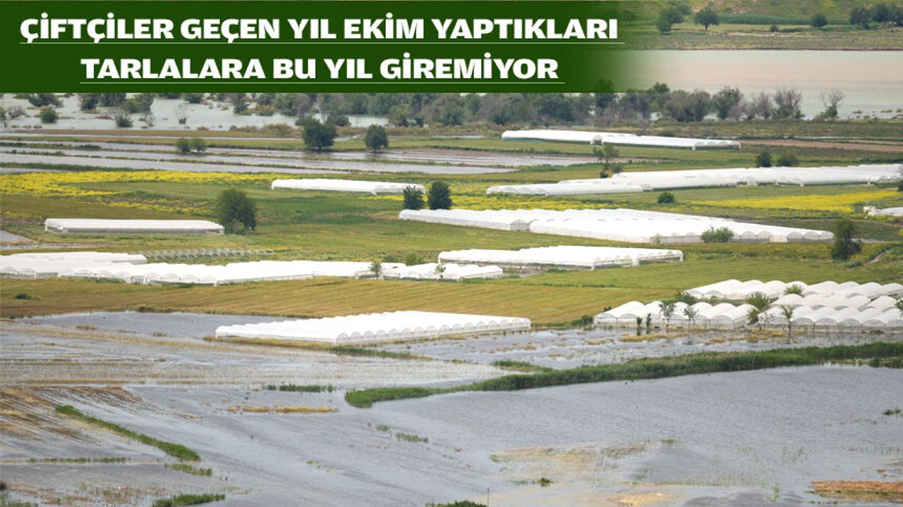 TARLALARDA BALIKLAR DOLAŞIYOR!