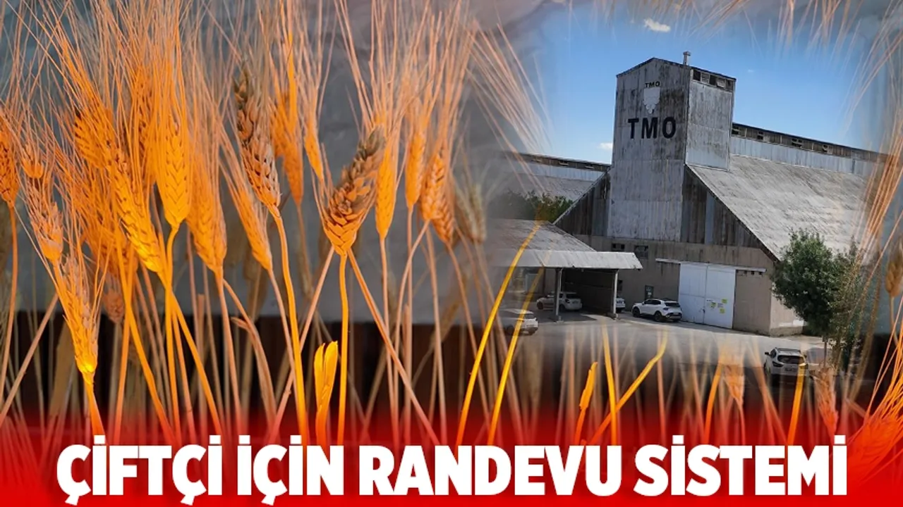 Hububat alımı için randevu sistemi başladı