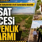 ‘Yeşil altın’ hasadı öncesi bahçelerde güvenlik alarmı