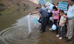 GARZAN’A 750 BİN BALIK BIRAKILDI