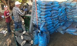 ODUN VE KÖMÜR FİYATLARI ARTTI