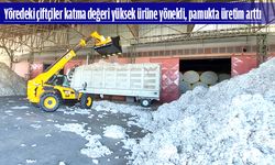 PAMUK ÜRETİMİNDE ARTIŞ