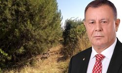 “HASANKEYF’İ YEŞİL KUŞAKLA BULUŞTURACAĞIZ”