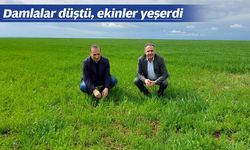 TAM ZAMANINDA YAĞDI