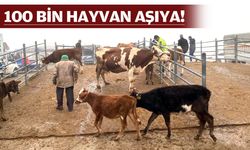 ŞAP ALARMI! BATMAN'DA ÖNLEMLER ALINDI
