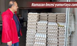 YUMURTA ATEŞ PAHASI