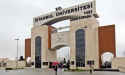 İstanbul Üniversitesi-Cerrahpaşa 33 sözleşmeli personel alacak