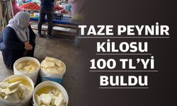 SÜT ÜRÜNLERİNDE ARTIŞ