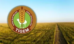 TİGEM Engelli ve Eski Hükümlü Sürekli İşçi Alımı Yapacak