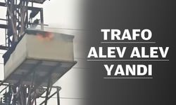 PANİĞE YOL AÇTI