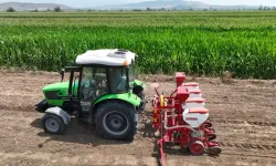 41,7 TON SOYA TOHUMU TOPRAKLA BULUŞTU