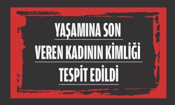 ÇATI KATINDAN ATLAYIP CANINA KIYMIŞTI