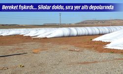 HASAT YER ALTINA