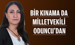“KADINA ŞİDDET ARTIYOR”