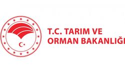 Orman Genel Müdürlüğü 105 sözleşmeli personel alacak